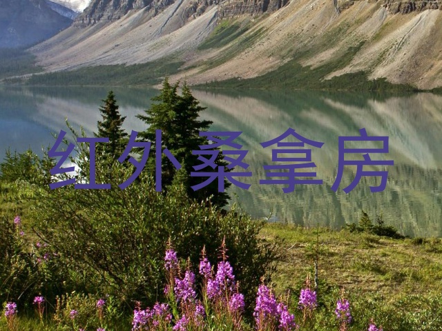 红外桑拿房