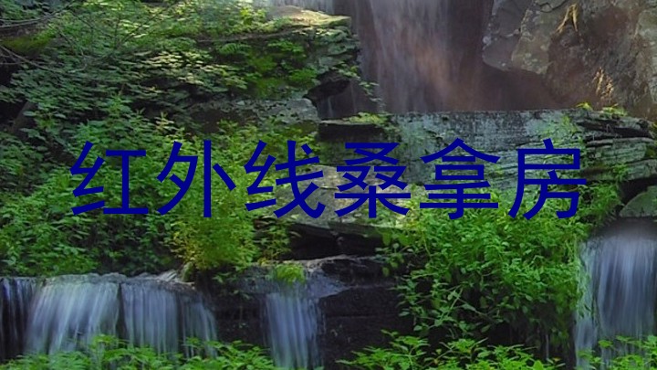 红外线桑拿房