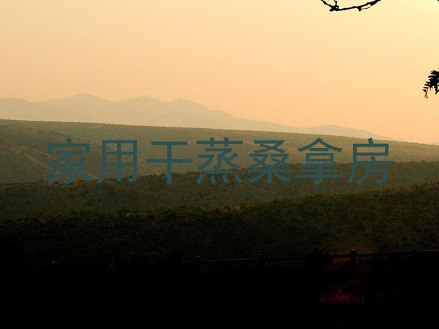 家用干蒸桑拿房