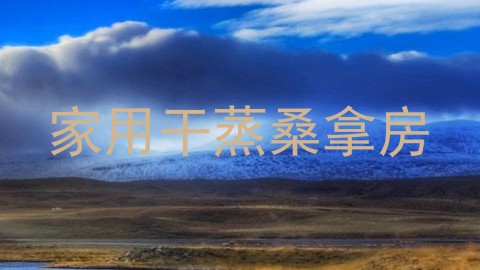 家用干蒸桑拿房