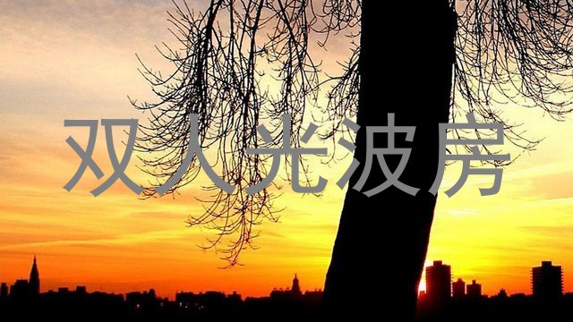 双人光波房