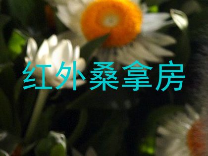 红外桑拿房