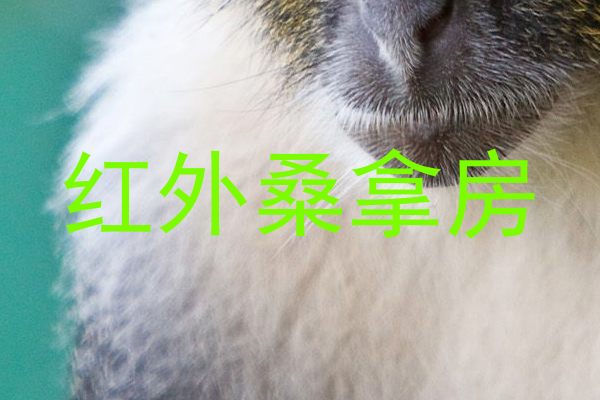 红外桑拿房