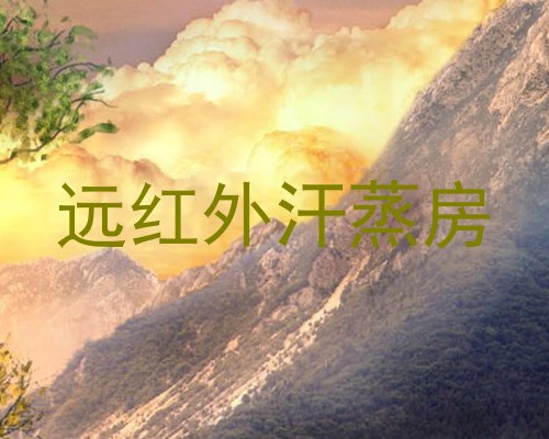 远红外汗蒸房