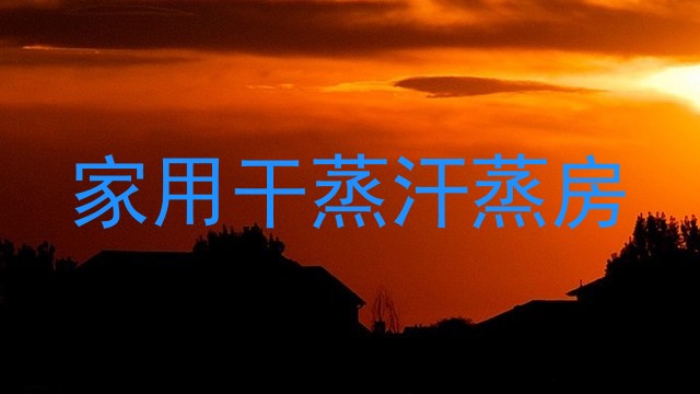 家用干蒸汗蒸房