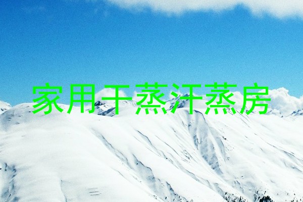 家用干蒸汗蒸房