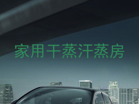 家用干蒸汗蒸房