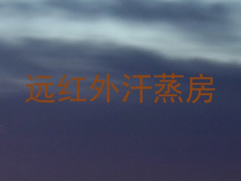 远红外汗蒸房