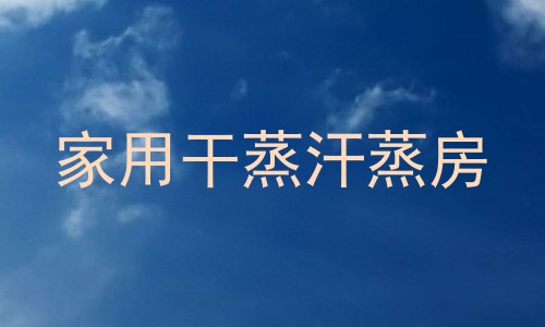 家用干蒸汗蒸房