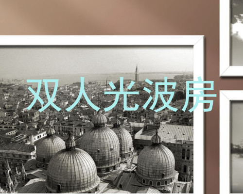 双人光波房