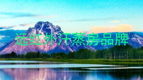 远红外汗蒸房品牌