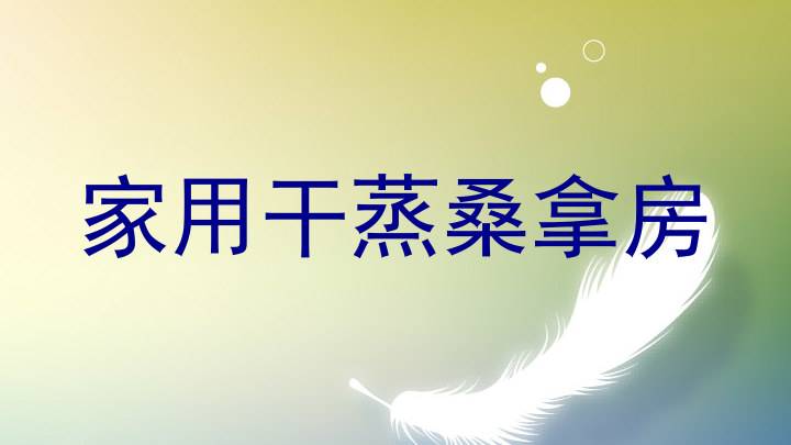 家用干蒸桑拿房