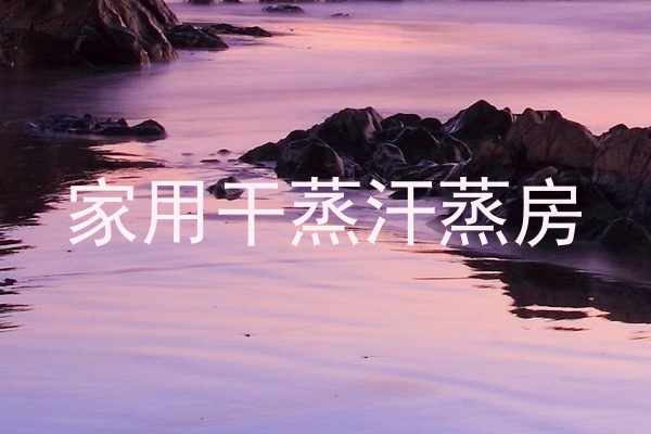 家用干蒸汗蒸房