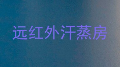 远红外汗蒸房
