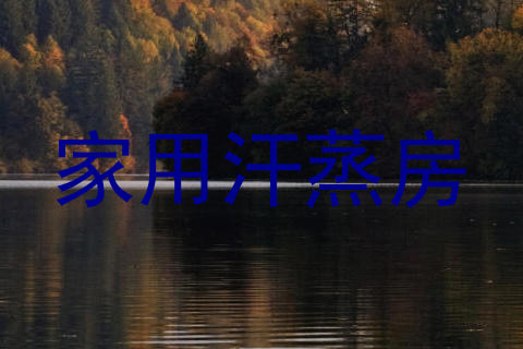 家用汗蒸房
