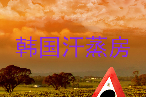 韩国汗蒸房