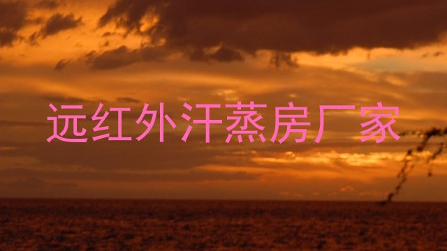 远红外汗蒸房厂家