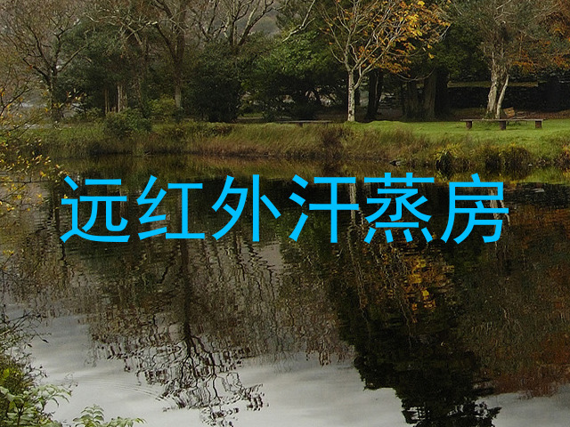 远红外汗蒸房