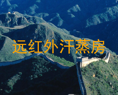 远红外汗蒸房