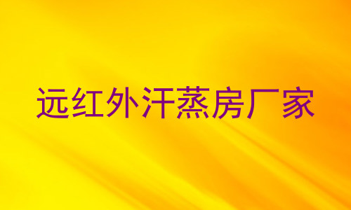 远红外汗蒸房厂家