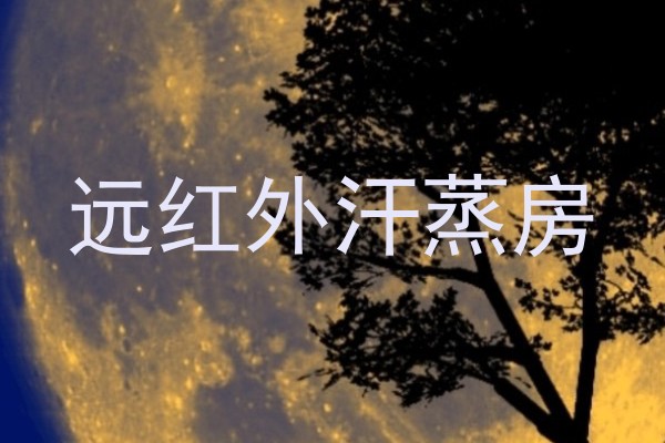 远红外汗蒸房