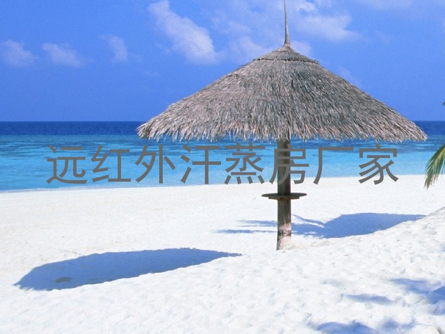 远红外汗蒸房厂家