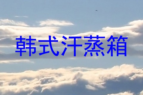 韩式汗蒸箱