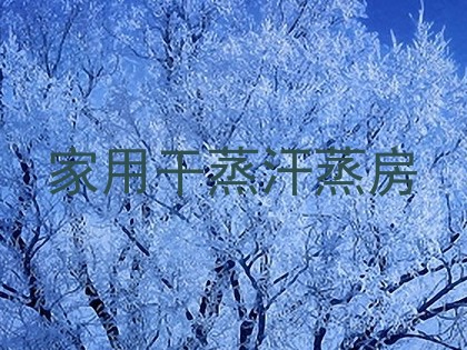 家用干蒸汗蒸房