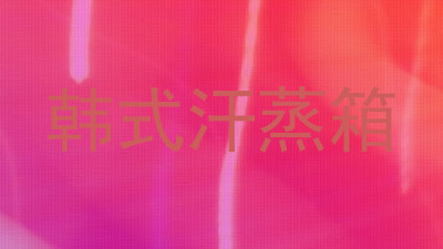 韩式汗蒸箱