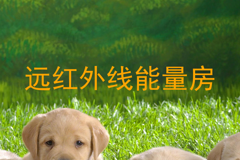 远红外线能量房