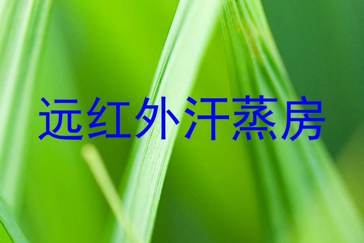 远红外汗蒸房