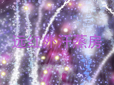 远红外汗蒸房