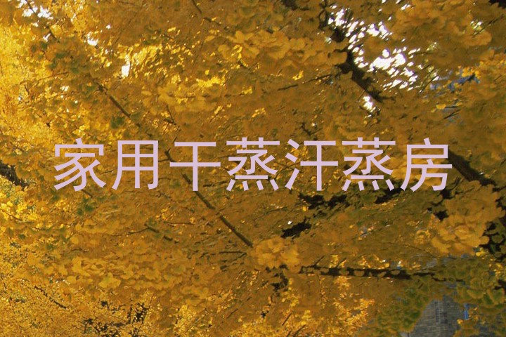 家用干蒸汗蒸房