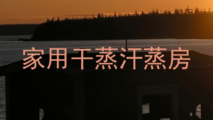 家用干蒸汗蒸房