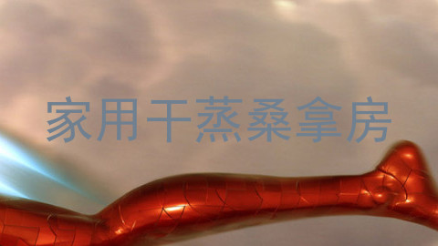 家用干蒸桑拿房