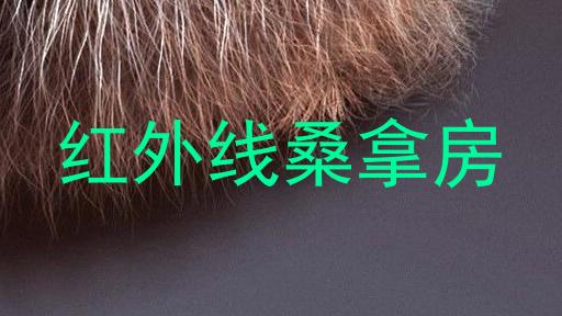 红外线桑拿房
