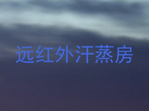 远红外汗蒸房
