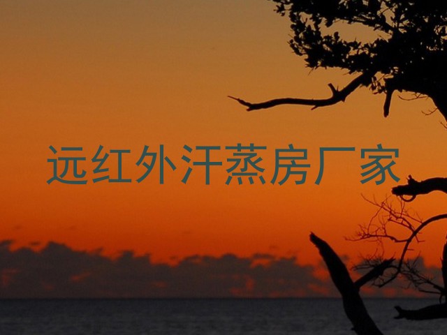 远红外汗蒸房厂家
