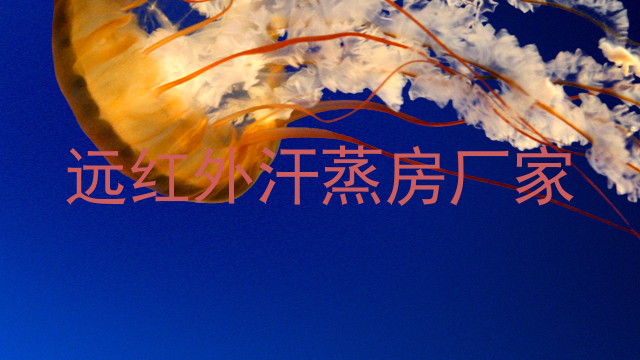 远红外汗蒸房厂家