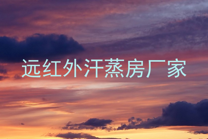 远红外汗蒸房厂家