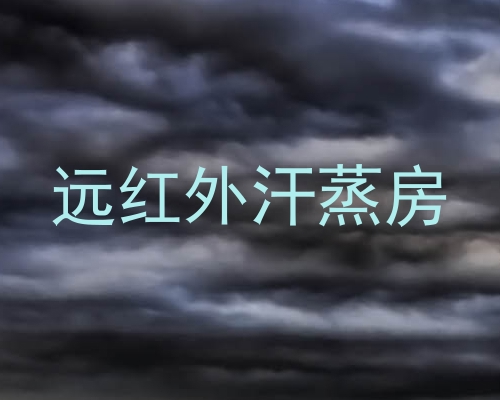 远红外汗蒸房