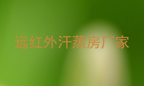 远红外汗蒸房厂家