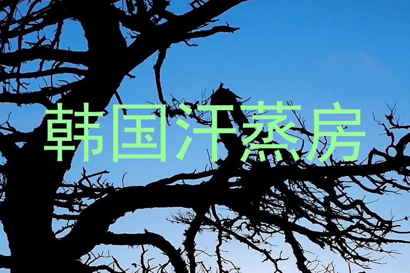 韩国汗蒸房