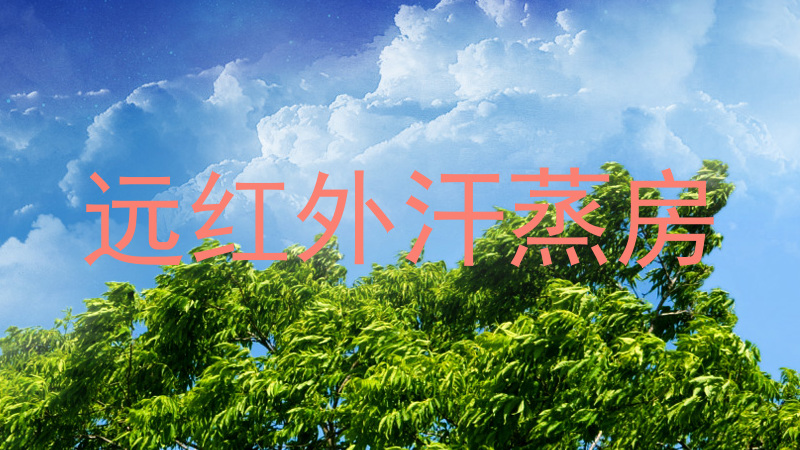 远红外汗蒸房