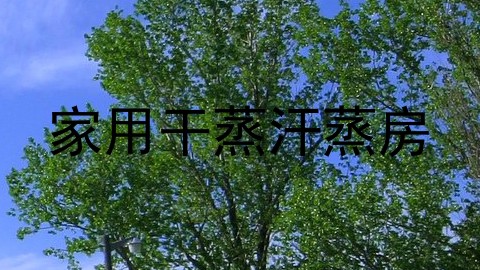 家用干蒸汗蒸房