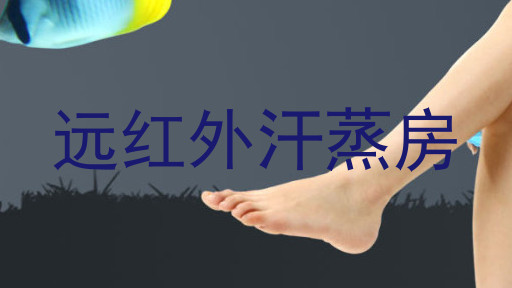 远红外汗蒸房