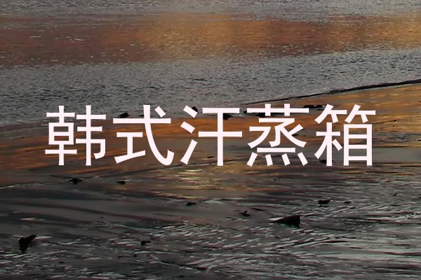 韩式汗蒸箱