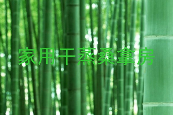 家用干蒸桑拿房