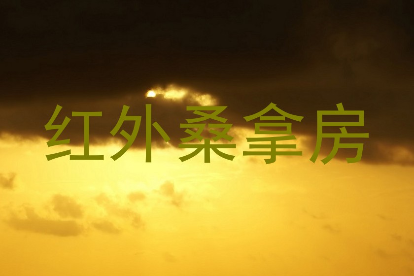 红外桑拿房