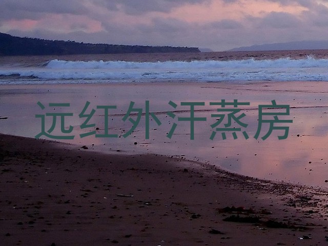 远红外汗蒸房